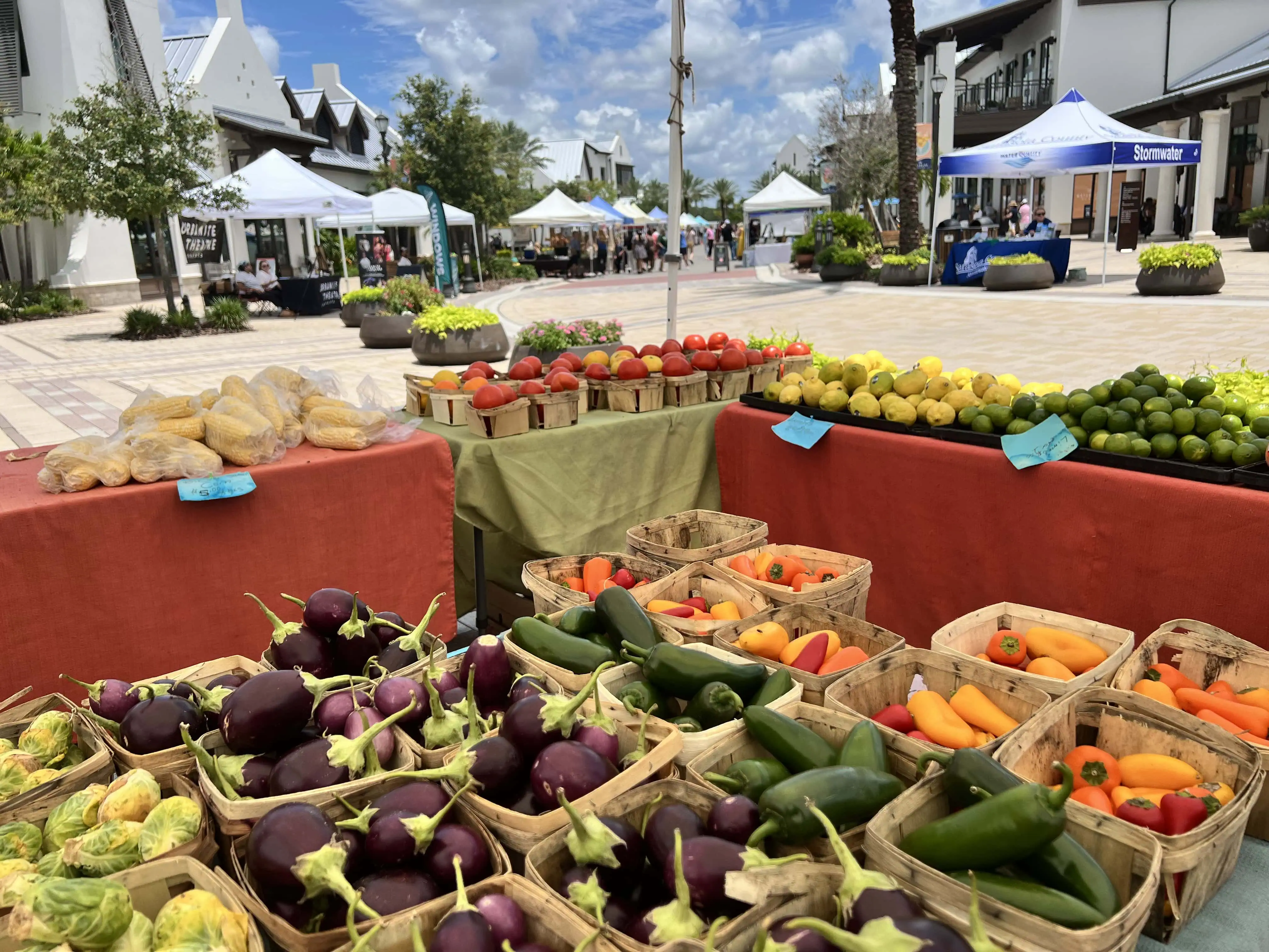 Farmer's Market Produce Stand in Sarasota, Florida