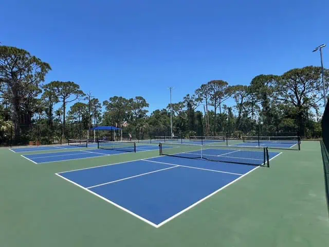 Pickleball Courts at Potter Park in Sarasota